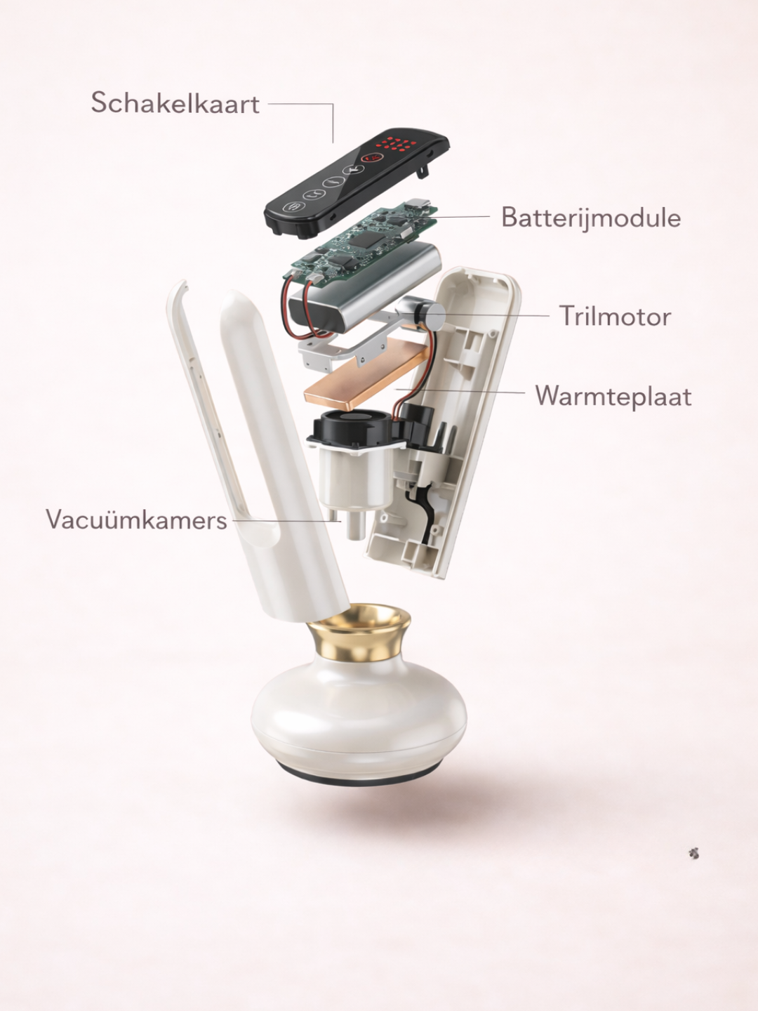 Norivae Contoura™ | Cellulite sichtbar von zu Hause aus reduzieren